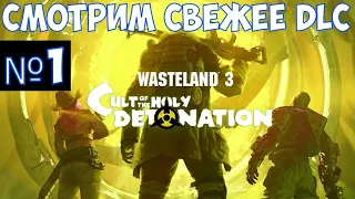 ⚔️wasteland 3 : cult of the holy detonation🔊 Смотрим DLC.