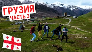 Грузия | Сванетия: вино, Местия, Ушгули