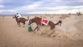 Accidentes de jockeys/ Riders in Danger (16 impactantes accidentes De Carreras De Caballo) Vol 2