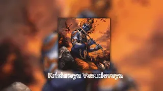 Krishnaya Vasudevaya Mantra (SPARROW mix)