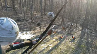 Shooting the Big stick Assassin longbow practice.