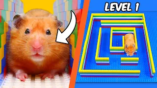 I built a LEGO MAZE for a HAMSTER...