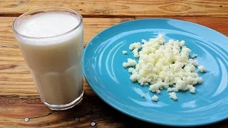 KEFIR latte fermentato