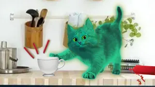 РАЗГРОМИЛА ДОМ СВОЕЙ ХОЗЯЙКИ В Roblox Bad Cat | КОТЁНОК ЗЕЛЁНКА