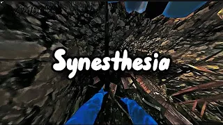 Synesthesia | Gorilla Tag Montage