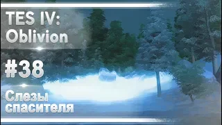 TES IV Oblivion #38 - Слезы спасителя