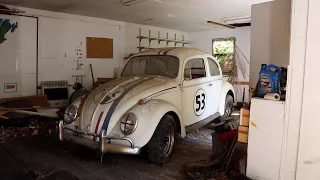 Vw Beetle Herbie Found & Rescued - Sitting for years will Herbie Go Bananas again?