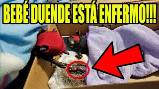 DUENDES REALES hacen TRAVESURAS en CASA 15 | Laguna Negra