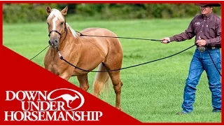 Clinton Anderson: Training a Rescue Horse, Part 7 - Downunder Horsemanship