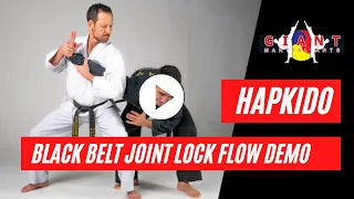 Hapkido Black Belt Joint Lock Flow Demo