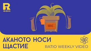 Аканото носи щастие [Ratio Weekly с Никола Кереков]