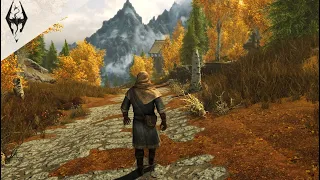 Relax Walking From Riften to Nightgate Inn - Skyrim - Music & Ambience