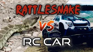 Traxxas X-MAXX vs RATTLESNAKE