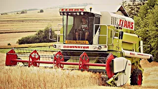 🇵🇱Oporowe żniwa🇵🇱 Jęczmień ozimy pod kosę⭐ Gr Jabłoński✔️ CLAAS DOMINATOR MAXI 98SL & VALTRA T133⭐