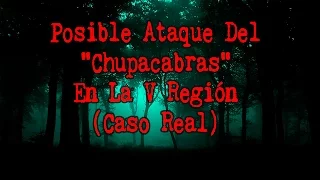 Posible Ataque Del "Chupacabras" En La V Región