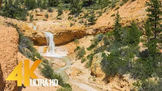 4K Bryce Canyon ainava - Mossy Cave Trail ūdenskritums - Nature Relax Video - 3 HRS