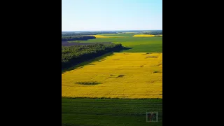 Beautiful Lithuania - The Power Of Green #nature #short #shorts @mpictures1443