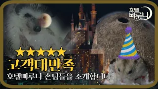 죽어서도 불행한 반려동물은 없어야 합니다. | 호텔 델루나 패러디 엔딩 No more unfortunate pets even after their death