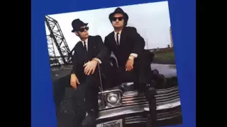 The Blues Brother & Ray Charles - Shake a Tail Feather