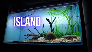 SAVE MONEY and build an AQUARIUM from PLANT TRIMMINGS | Step by step AQUASCAPING TUTORIAL | EP1