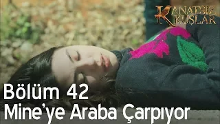 Kanatsız Kuşlar 42. Bölüm - Mine'ye araba çarpıyor