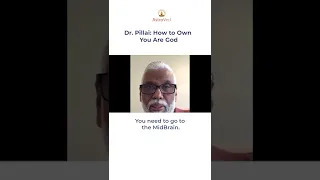 Dr. Pillai: How to Own You Are God