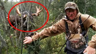 30 Times Hunters Messed With The Wrong Animals (Part 3)