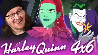 HARLEY QUINN 4x6 REACTION & REVIEW!