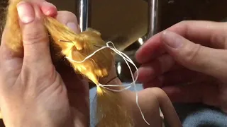 How to Tie/Wrap a Vintage Barbie Ponytail