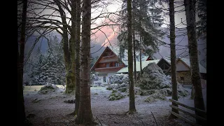 Winter Bliss: Cozy Cabin Retreat in the Snow |Tranquil Music Edition"