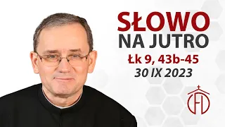 SNJ: Wspomnienie św. Hieronima, prezbitera i doktora Kościoła (1127)