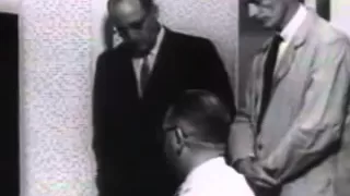 Milgram Obedience Study