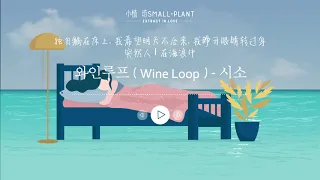 와인루프 Wine Loop - 시소 | 動態歌詞 Lyrics