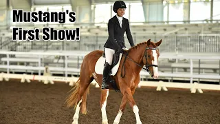 Showing with 4 Horses!!