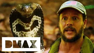 "Don't Move!" Cody and Joe Come Face to Face with a Cobra | Dual Survival