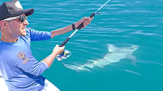 PESCANDO meu PRIMEIRO TUBARÃO no MEIO do ALTO MAR