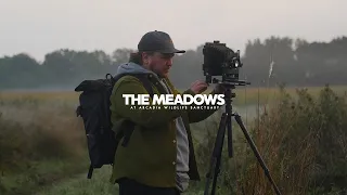 The Meadows at Arcadia on Film