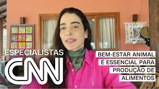 Carmem Perez: Bem-estar animal é ciência cuja aplicação no campo vem crescendo | ESPECIALISTA CNN