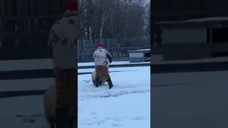 OH No!! Pail STUCK on her HEAD!! | SHEEP