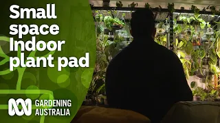 Touring an apartment full of indoor plants | Indoor Plants and Balcony Gardens | Gardening Australia
