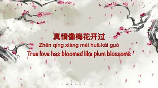 一剪梅 Yi Jian Mei [费玉清 Fei Yu-Ching/ Fei Yu Qing] - Chinese, Pinyin & English Translation