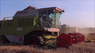 2 Claas Dominator 88 Classic beim Weizen dreschen!