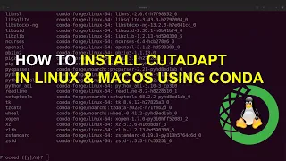 read trimming tool cutadapt install with conda