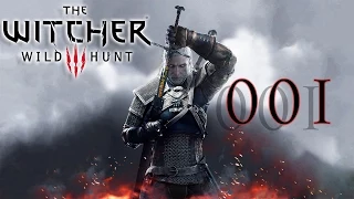 Let's Play The Witcher 3: Wild Hunt #001 Training mit Ciri [HD/german]