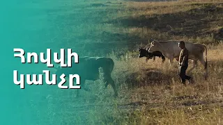 Հովվի կանչը