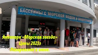 Цены в аквапарке "Морская звезда" 2023г. 🌴ЛАЗАРЕВСКОЕ СЕГОДНЯ🌴СОЧИ.