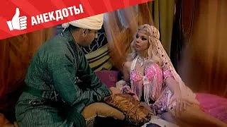 Анекдоты - Выпуск 204