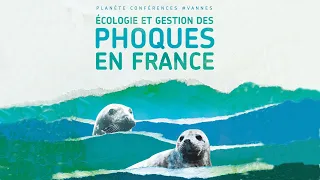 Planète conférences - Écologie et gestion des phoques en France