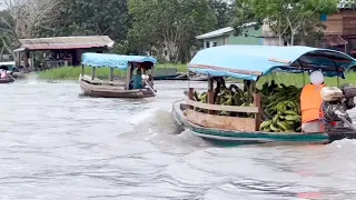 Leticia Colombia and Santa Rosa Perú (Amazonas).