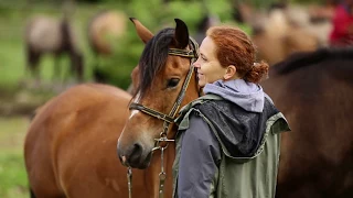 Гуцульські коні Продаж/Гуцульские лошади Продажа